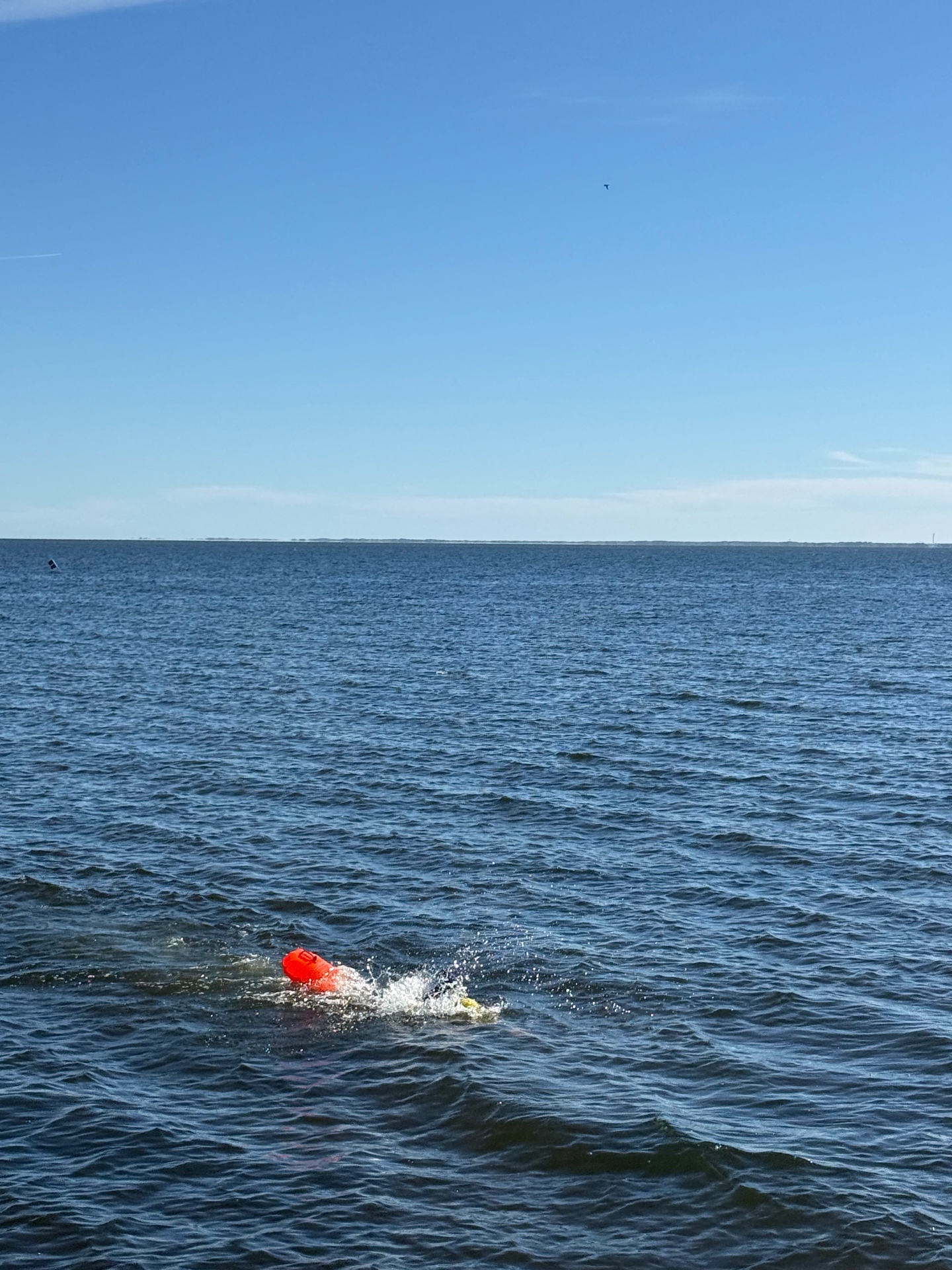 Svømmedag i Ringkøbing Fjord med Neptun