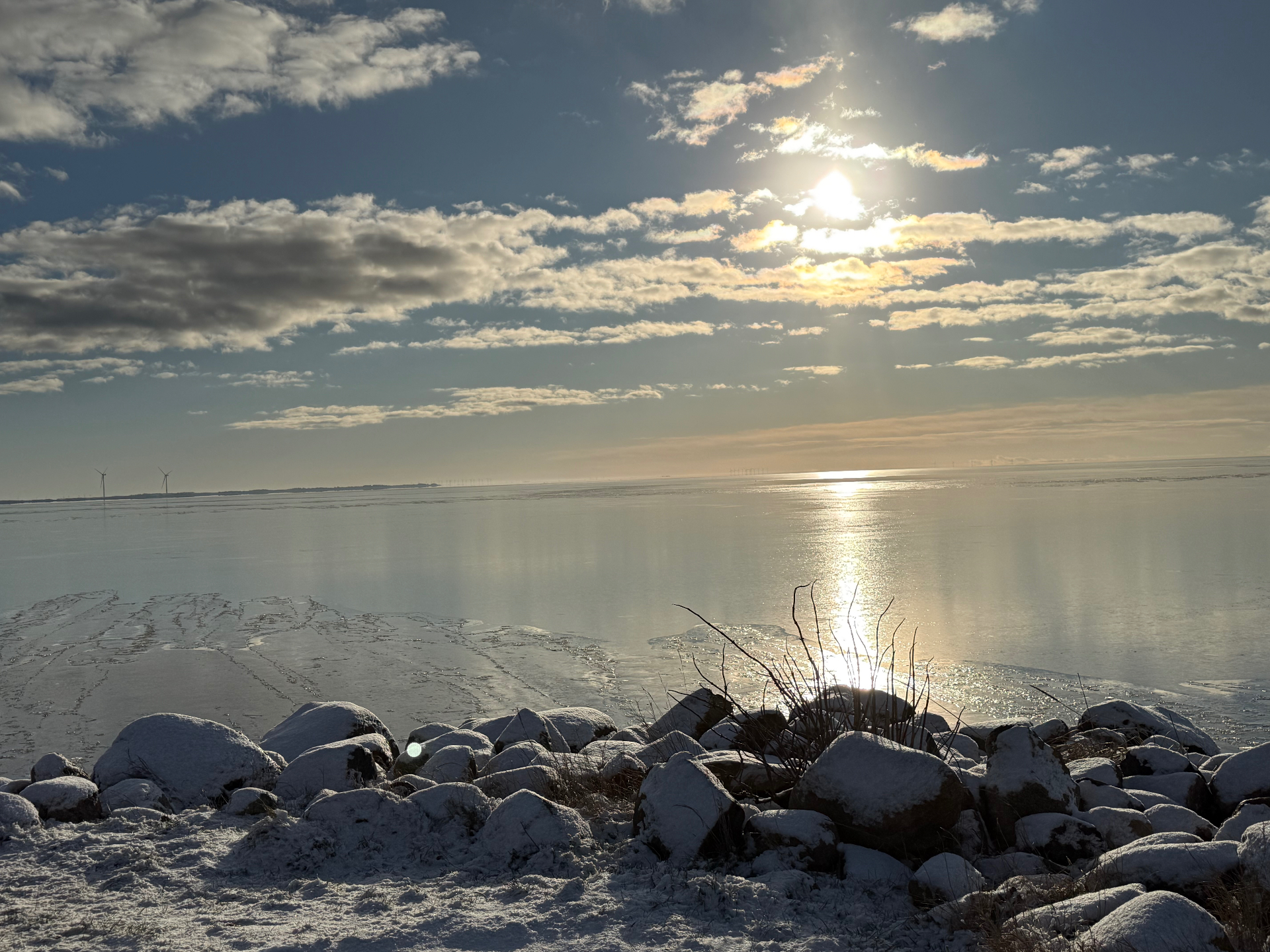 Vinterlandskab over Ringkøbing Fjord med sneklædte sten