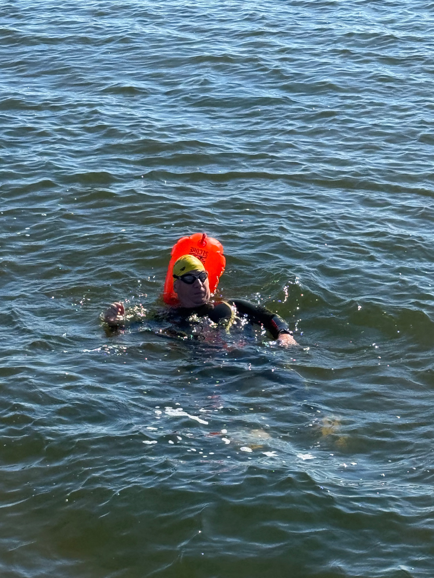 Svømmedag i Ringkøbing Fjord med Neptun