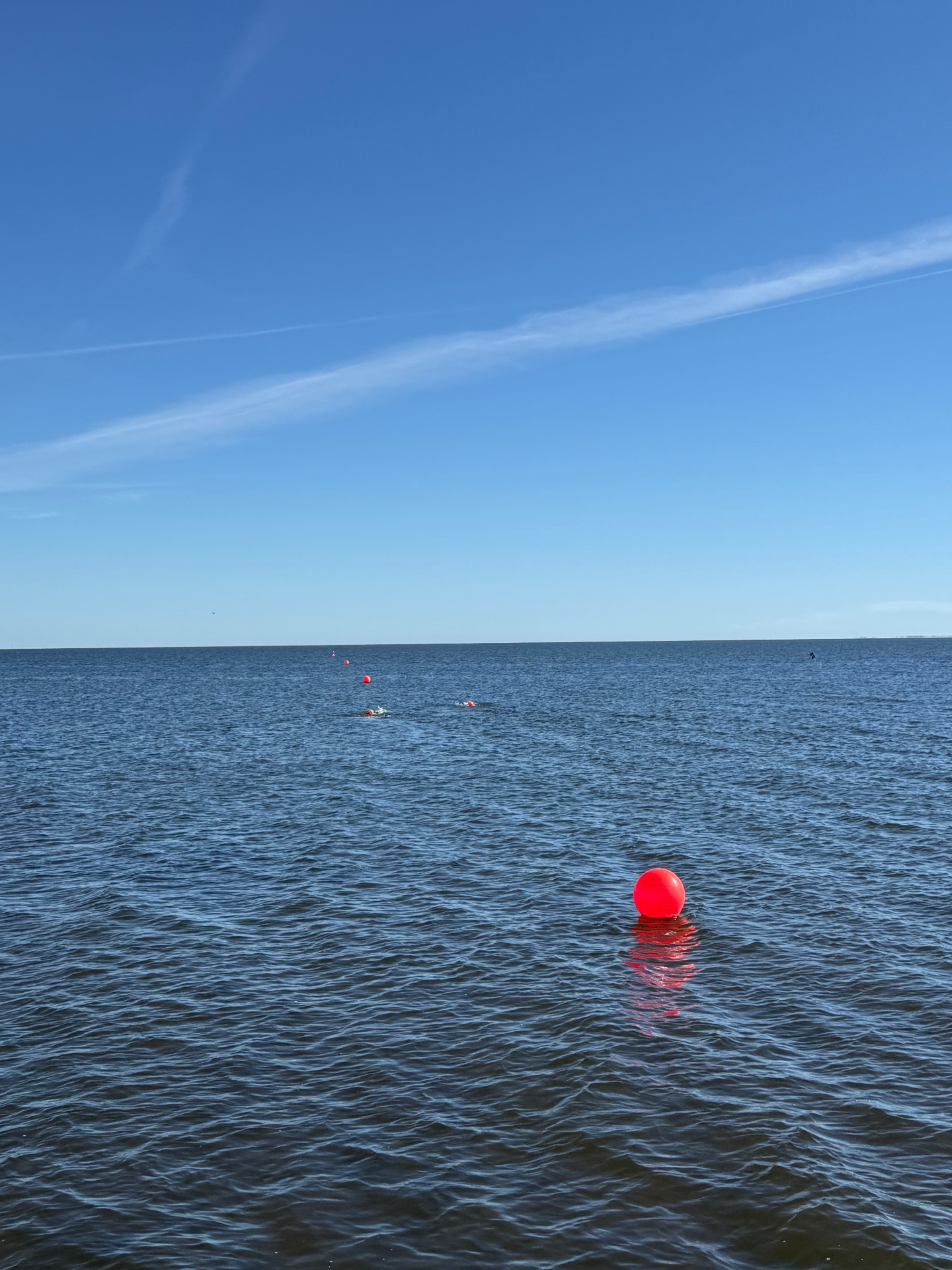 Svømmedag i Ringkøbing Fjord med Neptun
